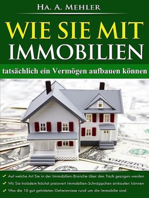 Cover of the book Wie Sie mit Immobilien tatsächlich ein Vermögen aufbauen by Tarupiwa Muzah