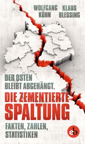 Cover of the book Die zementierte Spaltung by Klaus Behling