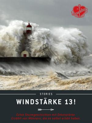 Cover of the book Windstärke 13! by Rupert Colley
