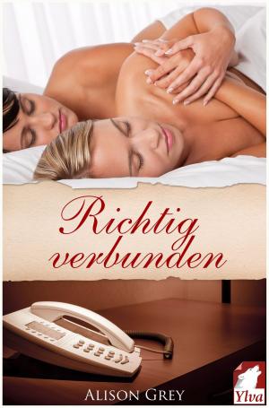 Cover of the book Richtig verbunden by Ina Steg