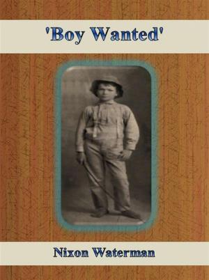Cover of the book 'Boy Wanted' by Nina Vida