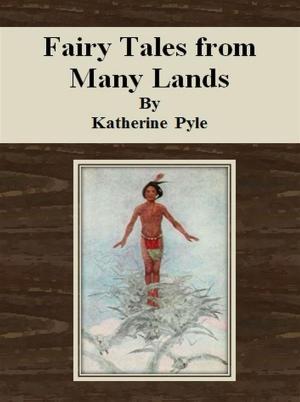 Book cover of Fairy Tales from Many Lands