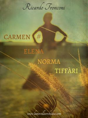 Cover of the book Carmen Elena Norma Tiffàri by Chris Culver