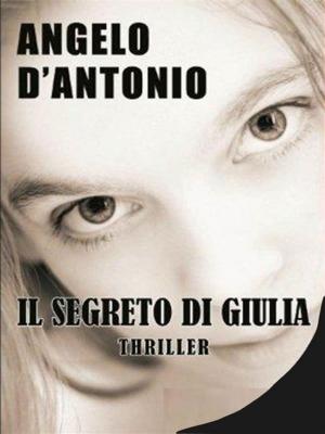Book cover of Il segreto di Giulia