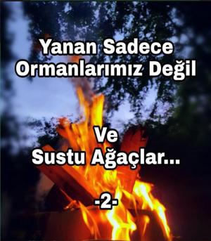 Cover of 2.VE Sustu AĞAÇLAR