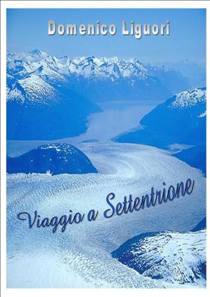 bigCover of the book Viaggio a Settentrione by 