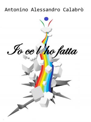 Cover of the book Io ce l'ho fatta by Julie Donley