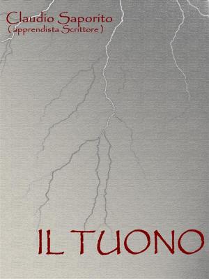 Cover of the book Il Tuono by Pino Perriello