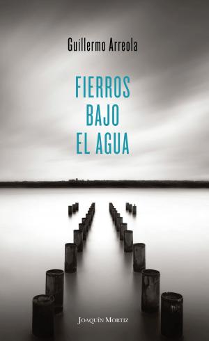 Book cover of Fierros bajo el agua