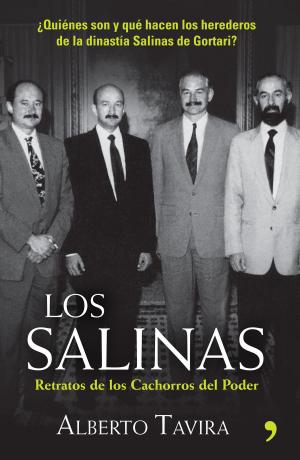 Cover of the book Los Salinas by Violeta Denou