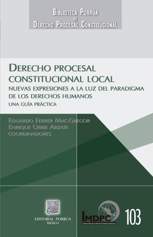 Cover of the book Derecho procesal constitucional local by Nicolás Maquiavelo
