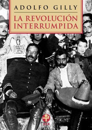 Cover of the book La revolución interrumpida by Ana García Bergua