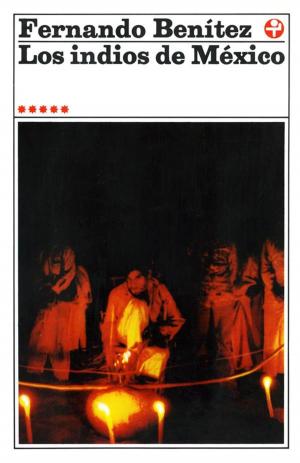 Cover of the book Los indios de México V by César Aira