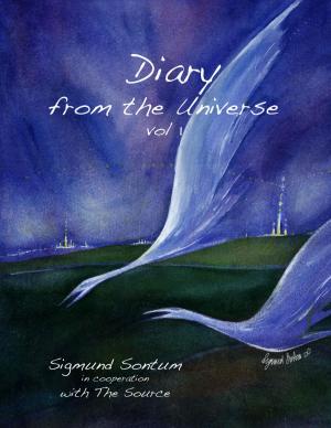 Cover of the book Diary from the Universe by Patricia Pereira