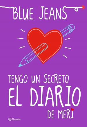 Book cover of Tengo un secreto: el diario de Meri