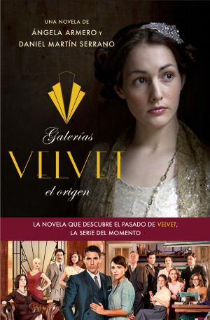 Book cover of Galerías Velvet, el origen