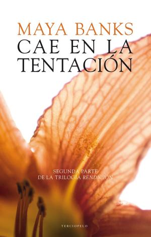 Cover of the book Cae en la tentación by Romain Molina