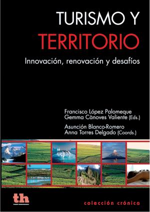 Cover of the book Turismo y territorio by Juan José Tamayo