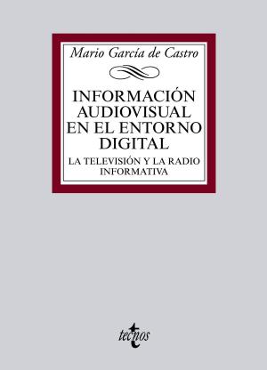 Cover of the book Información audiovisual en el entorno digital by Juan Luis Pulido Begines