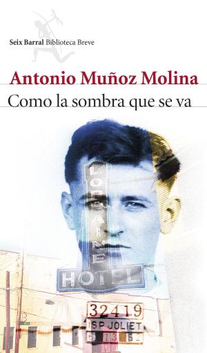 Cover of the book Como la sombra que se va by Dross