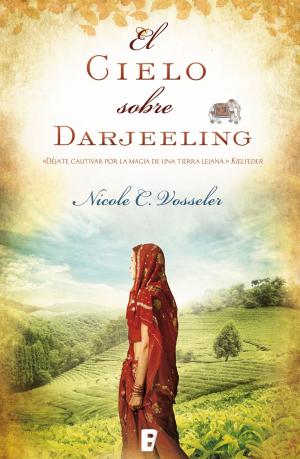 Cover of the book El cielo sobre Darjeeling by Carlos Díaz Domínguez
