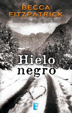 Cover of the book Hielo negro by Christian Gálvez