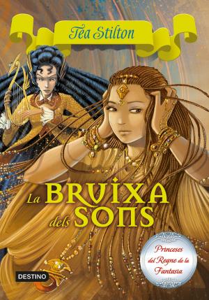 Cover of the book 9. La Bruixa dels Sons by Geronimo Stilton