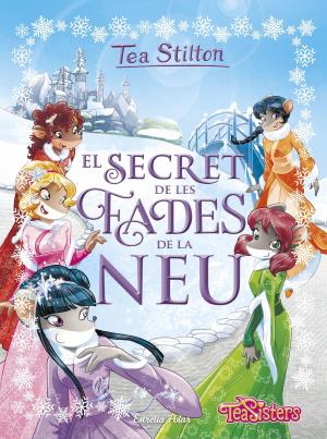 Cover of the book El secret de les fades de la neu by David Cirici