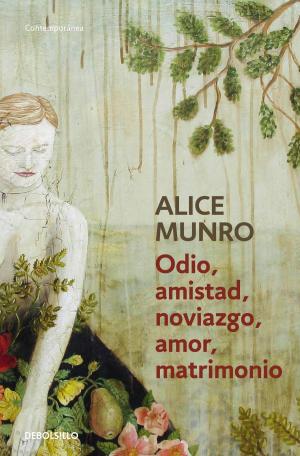 Cover of the book Odio, amistad, noviazgo, amor, matrimonio by Alice Munro