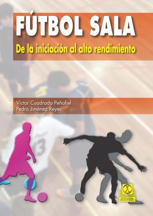 Cover of the book Fútbol sala by Ernst Bönsch, Uwe Bönsch