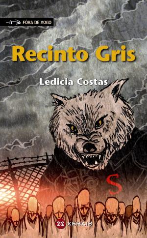 Cover of the book Recinto Gris by Rosa Aneiros
