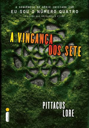 Book cover of A vingança dos sete