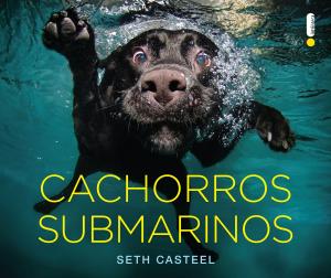 Cover of the book Cachorros submarinos by Pittacus Lore