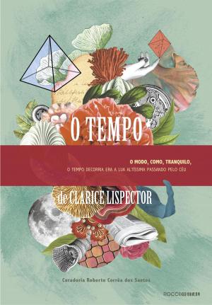 Cover of the book O tempo by Clarice Lispector