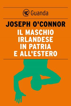 Cover of the book Il maschio irlandese in patria e all'estero by Håkan Nesser