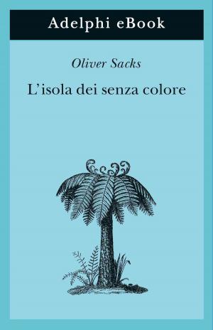 Cover of the book L'isola dei senza colore by Alberto Arbasino