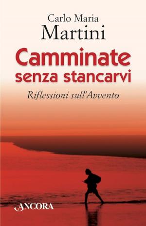 Cover of the book Camminate senza stancarvi by Vinicio Albanesi