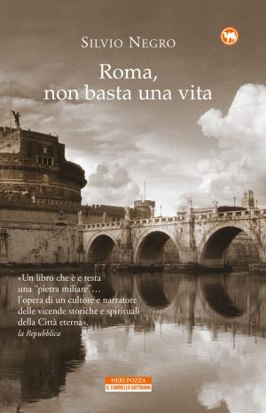 Cover of the book Roma, non basta una vita by Romain Gary