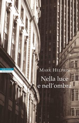 Cover of the book Nella luce e nell'ombra by Ambrogio Borsani