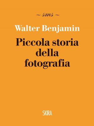 Cover of the book Piccola storia della fotografia by Stefano Malatesta