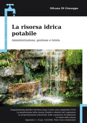 Cover of the book La risorsa idrica potabile by Maura Cannaviello
