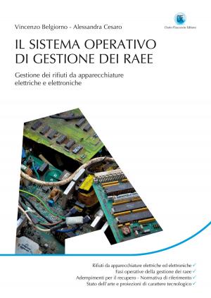 Cover of the book Il sistema operativo di gestione dei RAEE by Giancarlo Dal Moro