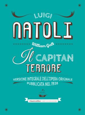 Book cover of Il capitan Terrore