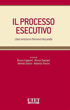 Book cover of Il processo esecutivo