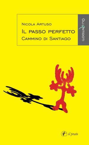 bigCover of the book Il passo perfetto by 