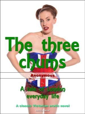Cover of the book The three chums by Lesley Cookman