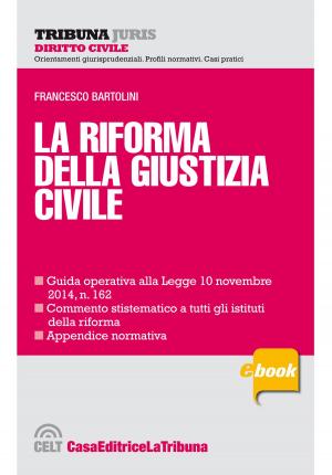 Cover of the book La riforma della giustizia civile by Francesco Bartolini, Pietro Savarro