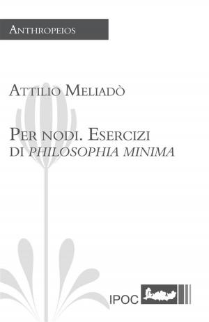 Cover of the book Per nodi. Esercizi di Philosophia minima by Sergio Benvenuto