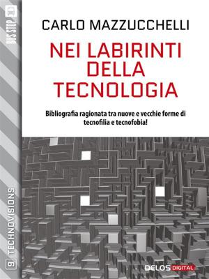 Cover of the book Nei labirinti della tecnologia by Franco Ricciardiello