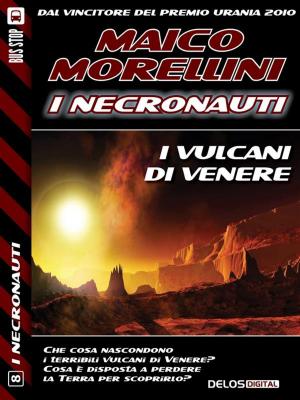 Cover of the book I vulcani di Venere by Carmine Treanni